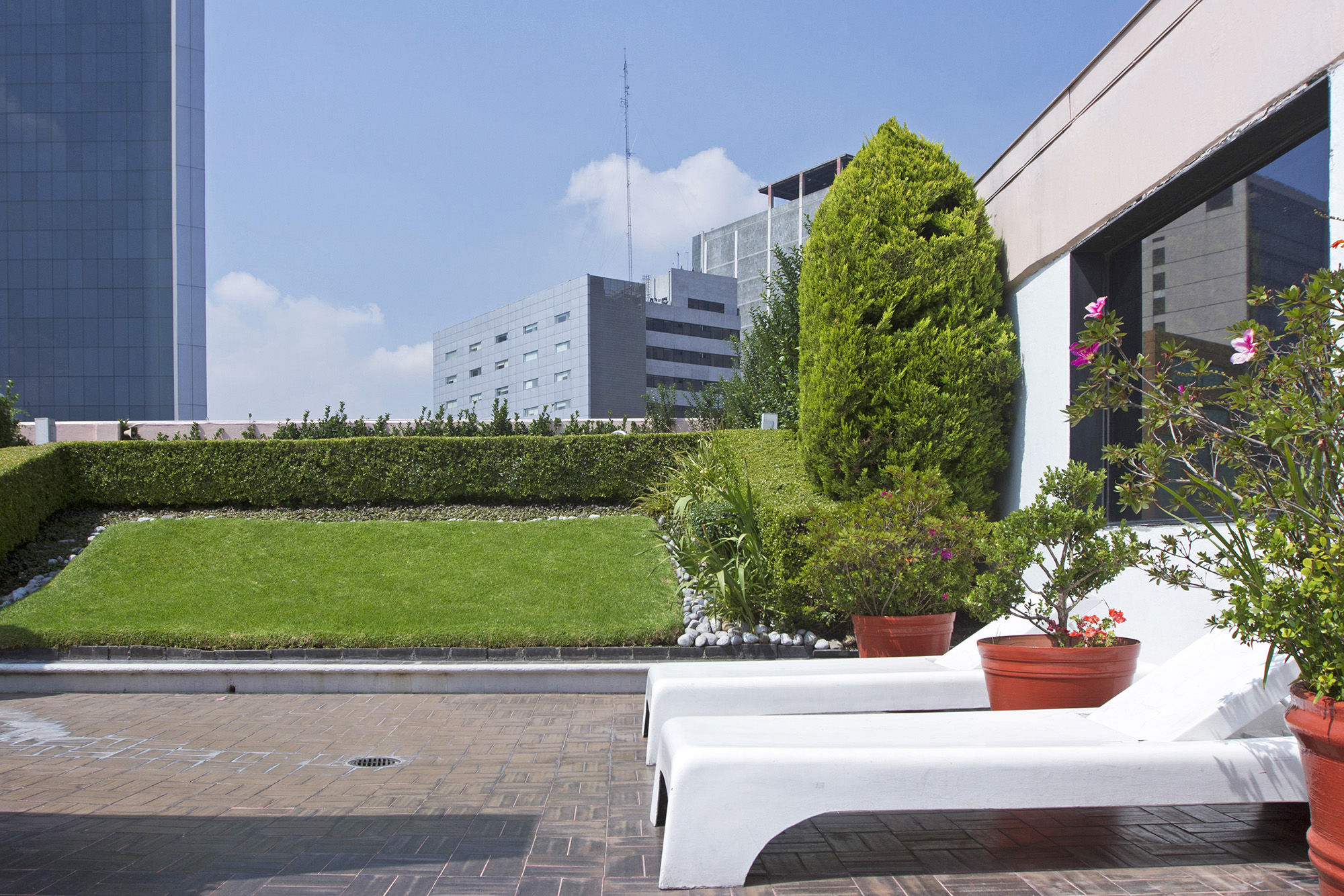 Corinto Hotel Ciudad de México Exteriér fotografie